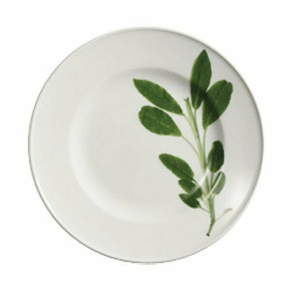 Dibbern Frühstücksteller 19 Cm Herbaticum Salbei 3 Dibbern Frühstücksteller 19 Cm Herbaticum Salbei